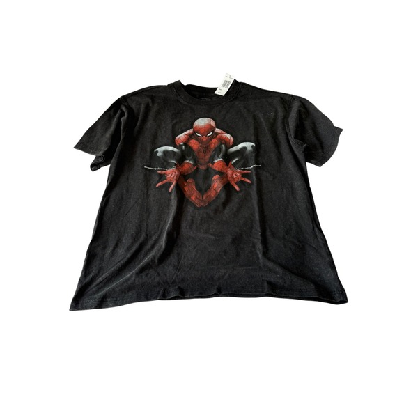 Marvel Other - Marvel Spider-Man Graphic T-Shirt Washed Black Freeze Mens Large 7PSN032